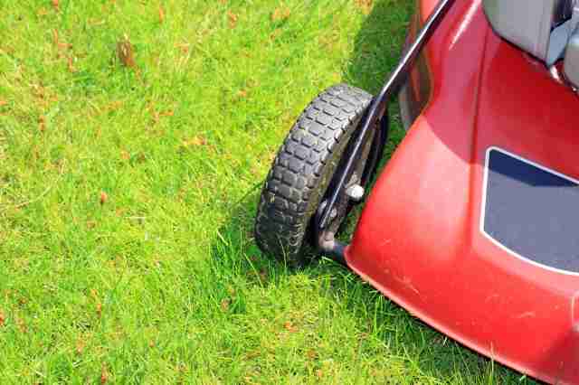 Lawn mowing time